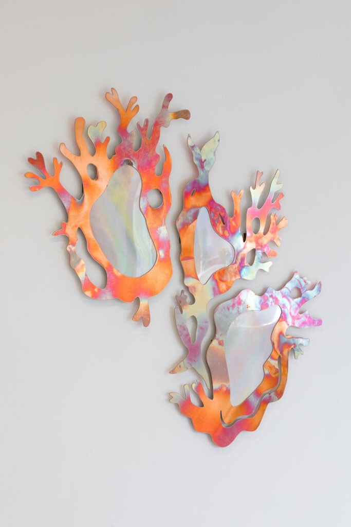 Miroslava Večeřová, Verdigris, Opah, Aurora (From the Cirrus Colony), 2026